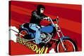 Stretched Canvas Print