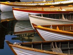 tom haseltine art: prints, paintings, posters & framed