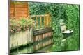 Photographic Print