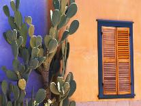 Turquoise Door, Santa Fe, New Mexico-Tom Haseltine-Photographic Print