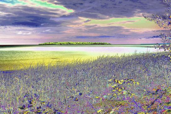 Photographic Print, , large