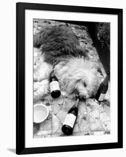 Photographic Print, , large