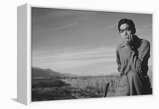 Tom Kobayashi, Landscape-Ansel Adams-Framed Stretched Canvas