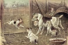 The British Bull Dog Show, from 'St. Stephen's Review Presentation Cartoon', 25 February 1888-Tom Merry-Giclee Print