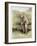 Tom Morris senior, British golfer, portrait, c1910-Unknown-Framed Giclee Print