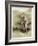 Tom Morris senior, British golfer, portrait, c1910-Unknown-Framed Giclee Print