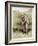 Tom Morris senior, British golfer, portrait, c1910-Unknown-Framed Giclee Print