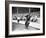 Tom Needham, Chicago Cubs, Baseball Photo No.2 - New York, NY-Lantern Press-Framed Art Print