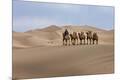 Premium Photographic Print