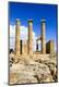 Premium Photographic Print