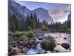 Premium Photographic Print