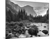 Premium Photographic Print