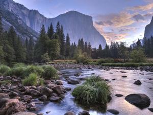 Early Sunrise, Yosemite, California, USA by Tom Norring