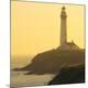 Premium Photographic Print