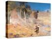 Stretched Canvas Print