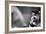 Tom Seaver (1944-)-null-Framed Giclee Print