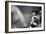 Tom Seaver (1944-)-null-Framed Giclee Print