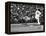 Tom Seaver (1944-)-null-Framed Premier Image Canvas