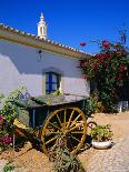 Farmhouse with Cart and Chimney, Silves, Algarve, Portugal-Tom Teegan-Photographic Print