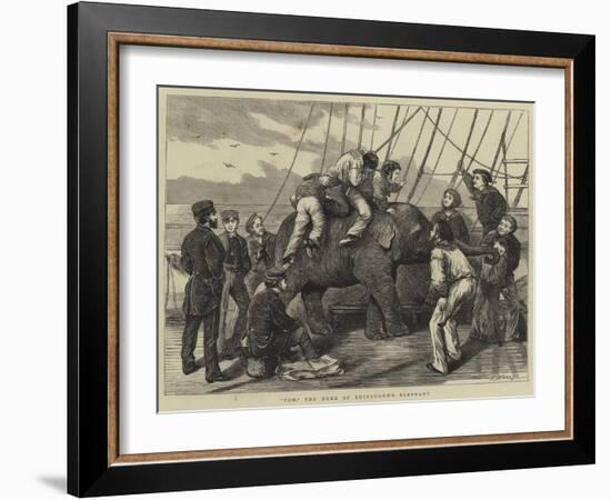 Tom, the Duke of Edinburgh's Elephant-Henry Woods-Framed Giclee Print