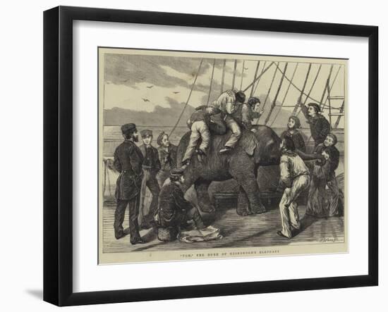 Tom, the Duke of Edinburgh's Elephant-Henry Woods-Framed Giclee Print