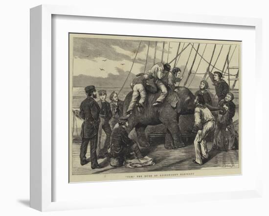 Tom, the Duke of Edinburgh's Elephant-Henry Woods-Framed Giclee Print