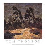 Wild Cherries, Spring-Tom Thomson-Framed Giclee Print