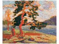 The Jack Pine-Tom Thomson-Stretched Canvas