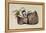 Tom Thumb- Illustration to 'Le petit Poucet'-Theodor Hosemann-Framed Premier Image Canvas