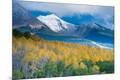 Photographic Print