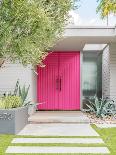 Magenta Pink Doors-Tom Windeknecht-Mounted Photographic Print