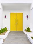 Magenta Pink Doors-Tom Windeknecht-Premier Image Canvas