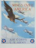 Wings over America-Tom Woodbury-Laminated Giclee Print