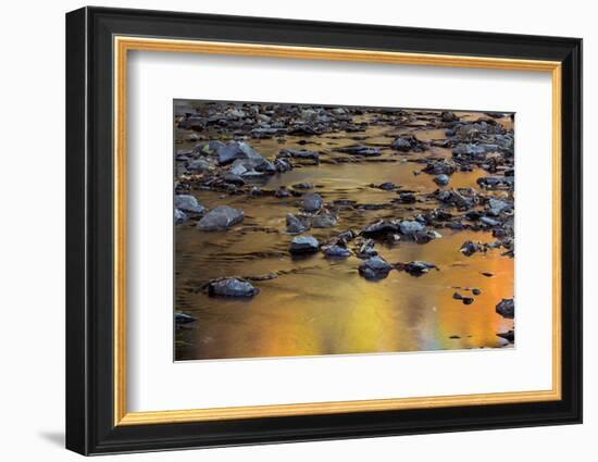 Tomahawk Creek, Leawood, Johnson County, Kansas, USA-Charles Gurche-Framed Photographic Print