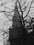 Tree and Church of Gothic Construction, Bern, Swiss-Tomaru Eiichi-Framed Photographic Print