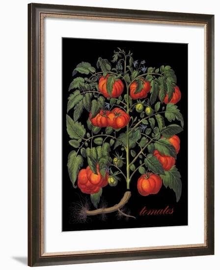 Tomates-Mindy Sommers-Framed Giclee Print