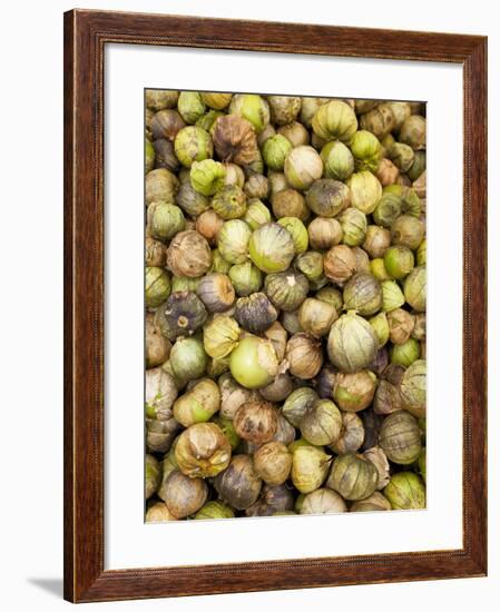 Tomatillos in Market, Guanajuato, Mexico-Merrill Images-Framed Photographic Print