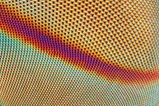 An Extreme Sharp and Detailed Microscopic close up of the Compound Eye of a Horse Fly Taken with Mi-Tomatito-Photographic Print