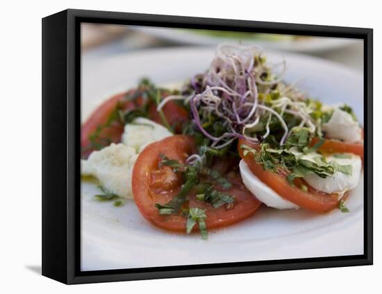 Tomato and Mozarella Salad, Brussels, Belgium, Europe-Martin Child-Framed Premier Image Canvas