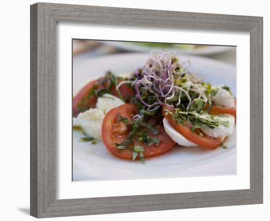 Tomato and Mozarella Salad, Brussels, Belgium, Europe-Martin Child-Framed Photographic Print