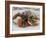 Tomato and Mozarella Salad, Brussels, Belgium, Europe-Martin Child-Framed Photographic Print