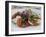 Tomato and Mozarella Salad, Brussels, Belgium, Europe-Martin Child-Framed Photographic Print