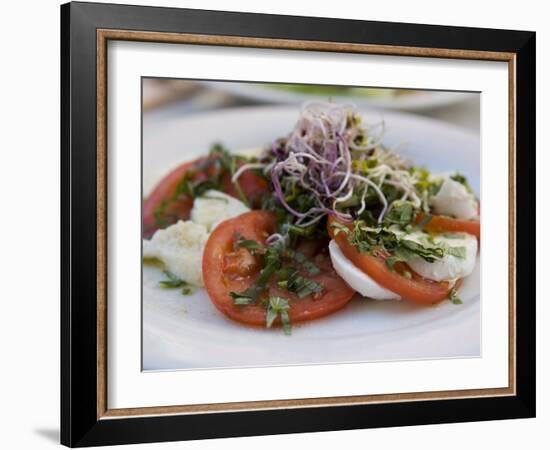 Tomato and Mozarella Salad, Brussels, Belgium, Europe-Martin Child-Framed Photographic Print