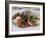 Tomato and Mozarella Salad, Brussels, Belgium, Europe-Martin Child-Framed Photographic Print