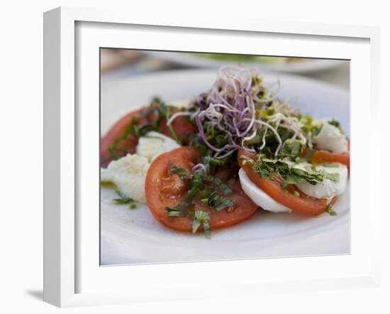 Tomato and Mozarella Salad, Brussels, Belgium, Europe-Martin Child-Framed Photographic Print