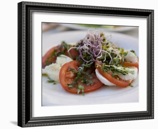 Tomato and Mozarella Salad, Brussels, Belgium, Europe-Martin Child-Framed Photographic Print