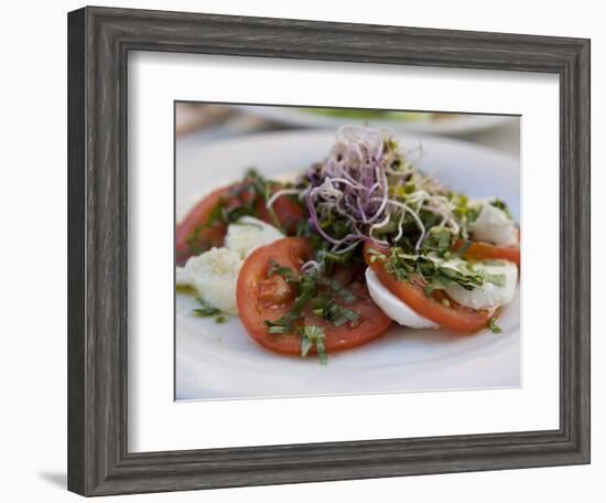 Tomato and Mozarella Salad, Brussels, Belgium, Europe-Martin Child-Framed Photographic Print