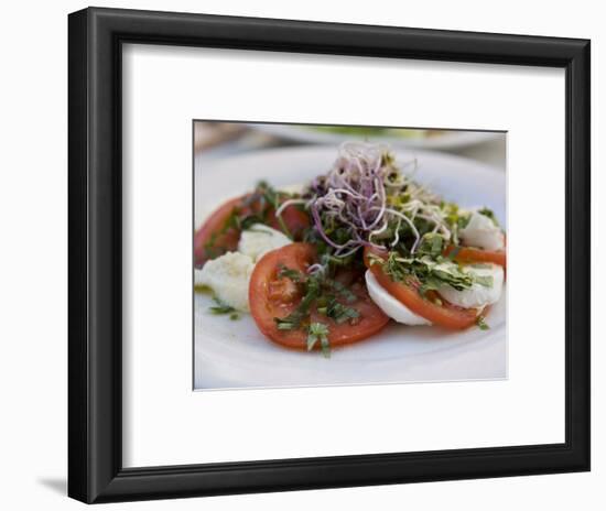 Tomato and Mozarella Salad, Brussels, Belgium, Europe-Martin Child-Framed Photographic Print