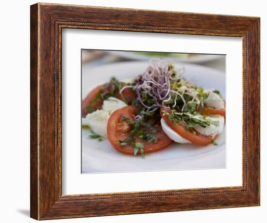 Tomato and Mozarella Salad, Brussels, Belgium, Europe-Martin Child-Framed Photographic Print