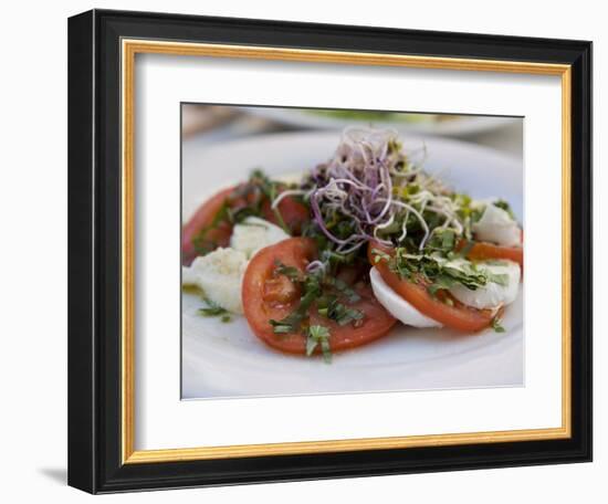 Tomato and Mozarella Salad, Brussels, Belgium, Europe-Martin Child-Framed Photographic Print